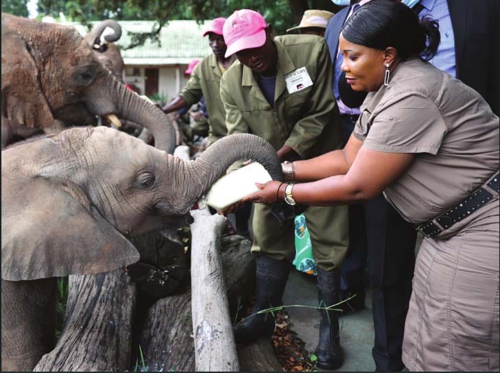 In the wildlife sector, she has spoken against poaching and encouraged people not to cut fences demarcating wildlife areas to curb human-wildlife conflict.