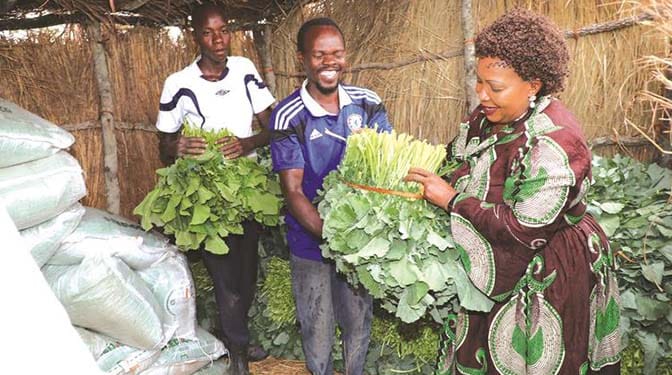 First Lady Auxillia Mnangagwa buys vegetables to dry and distribute to the less-privileged from Noharm Cooperative representative Mr Crybert Hapazari while his son, Simba, looks on in Seke yesterday. — Picture: John Manzongo