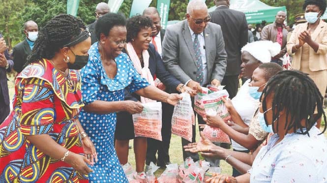 Ambassadors accredited to Zimbabwe Ms Rejoice Mabudafhasi from South Africa, Cuban charge d’Affaires Ms Yoisy Ford Garcia, Malawian Ambassador Mr Mwayiwayo Polepole and Namibia Ambassador Mr Niklaa Kandijii hand over farming inputs to women, while Agriculture-for She patron First Lady Dr Auxillia Mnangagwa looks on after the launch of Urban Transformation Programme in Dzivaresekwa, Harare on Monday