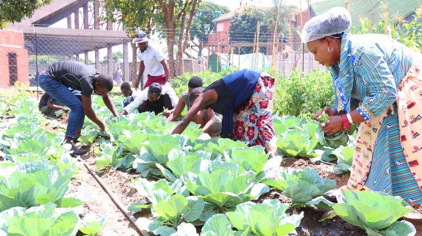 Spurred by her motherly instinct, First Lady Dr. Auxillia Mnangagwa is working flat out to address the plight of street children.