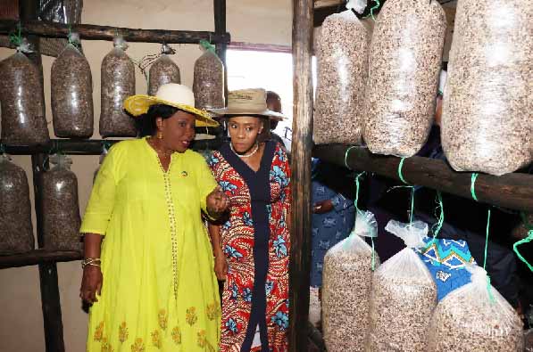 First Lady Dr Auxillia Mnangagwa shows Batswana First Lady Mrs Neo Jane Masisi mushrooms being produced by an Agric4She beneficiary Gogo Getrude Mberi at her house in Waterfalls on Wednesday