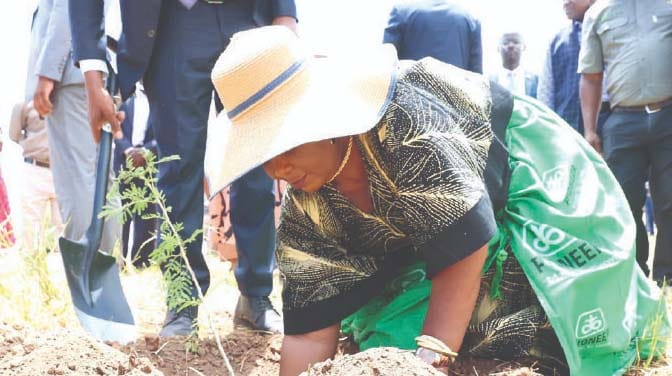 Environment and Tourism patron First Lady Dr Auxillia Mnangagwa plants trees at Chitemamuswe Primary School in Muzarabani yesterday