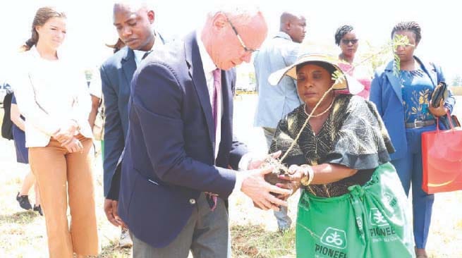 First Lady Dr Auxillia Mnangagwa hands over a tree to Swedish Ambassador to Zimbabwe Mr Per Lindgarde during a tree planting programme at Chitemamuswe Primary School in Muzarabani yesterday 