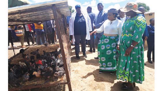 First Lady’s Agric4She empowers Mash Central, transforming the lives of women who are doing fish farming, poultry and piggery....