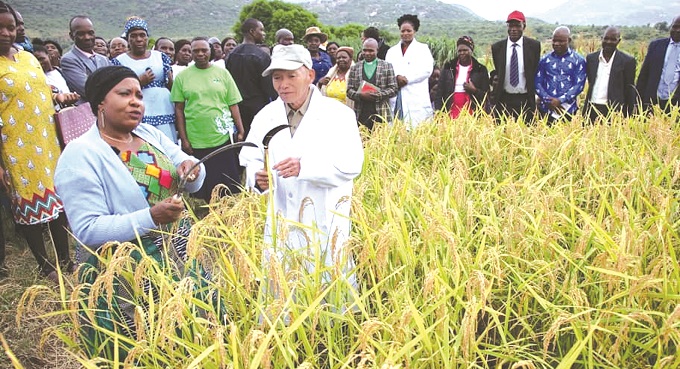 First Lady Dr Auxillia Mnangagwa being shown a tool used in harvesting Nerica 7 rice, by Japanese agricultural expert Dr Tatsushi Tsuboi in Marange