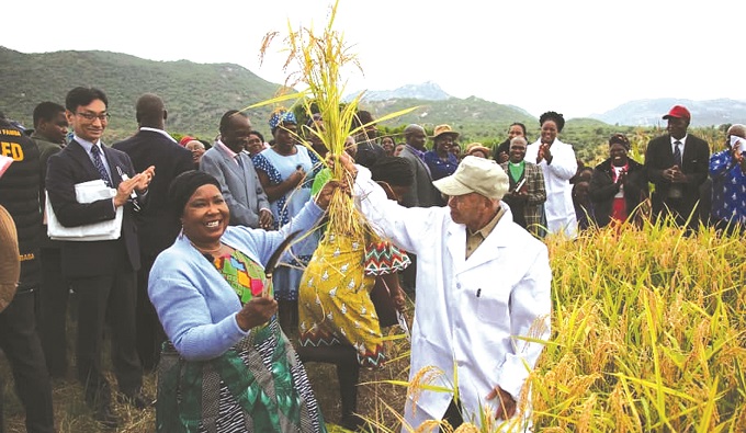 First Lady Dr Auxillia Mnangagwa and Japanese agricultural specialist Dr Tatsushi Tsuboi show Nerica 7 rice during harvesting