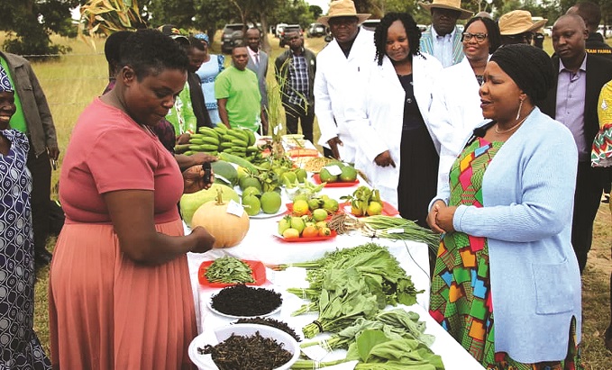 First Lady Dr Auxillia Mnangagwa (right) views vegetables displayed by women in Ward 12 , Marange, during her visit. – Pictures: Tinai Nyadzayo