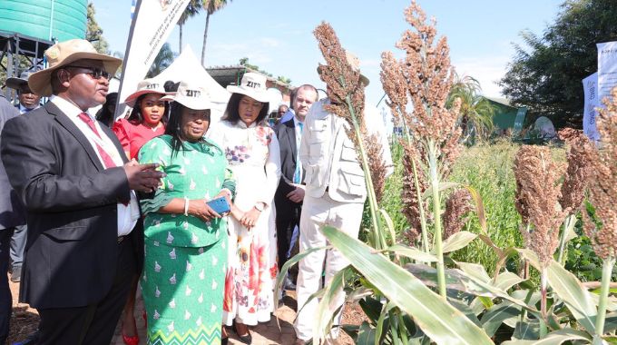 First Lady Dr Auxillia Mnangagwa and Mrs Miniyothabo Chiwenga being shown sorghum crop at an AGRIC4SHE demonstration plot at the ZITF grounds in Bulawayo