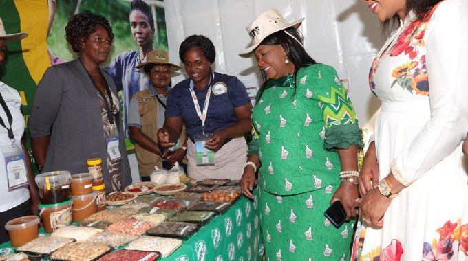 First Lady Dr Auxillia Mnangagwa and Mrs Miniyothabo Chiwenga look at value added traditional foods which were exhibited by women at an AGRIC4SHE demonstration plot at the ZITF grounds in Bulawayo