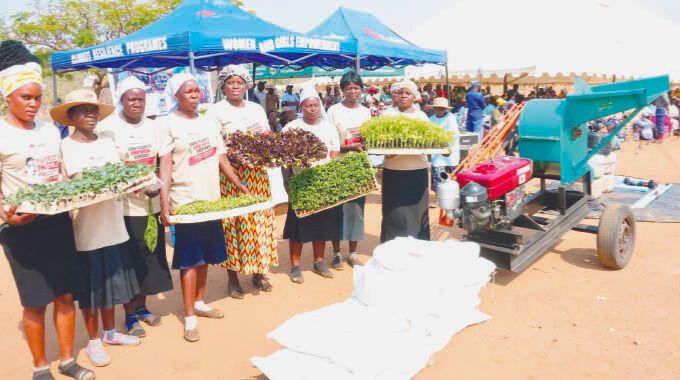 Women display the different variety of seedlings they received from AGRIC4SHE patron First Lady Dr Auxillia Mnangagwa after a field day in Rushinga. – Pictures: John Manzongo