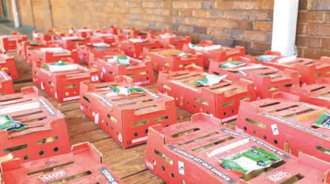 Some of the day old chicks that were donated to widows by First Lady Dr Auxillia Mnangagwa to start poultry projects during the launch of the First Lady Widows Association Matabeleland Chapter in Bulawayo