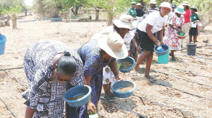 Women apply manure during the launch of Pfumvudza4SHE by First Lady Dr Auxillia Mnangagwa in Mashonaland Central