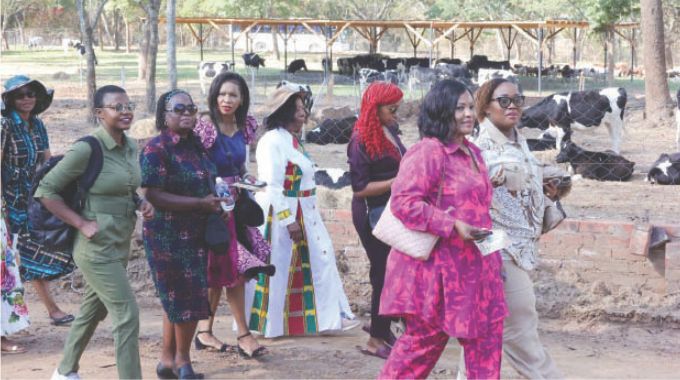 Women in Business arrive for the traditional themed Women’s Round Table bush and under the stars dinner which was hosted by First Lady Dr Auxillia Mnangagwa.