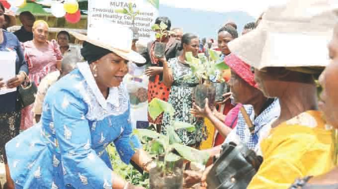 First Lady Dr Auxillia Mnangagwa distributes banana seedlings to women during the launch of Banana4She in Honde Valley, Manicaland on Monday. — Pictures: John Manzongo