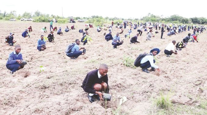 Schoolchildren and villagers plant trees during a programme which was led by Environment and Tourism patron First Lady Dr Auxillia Mnangagwa in Mashonaland East yesterday.