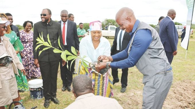 First Lady calls for optimum care for trees led in the planting of more than 3 000 indigenous and exotic trees in Mashonaland East Province.