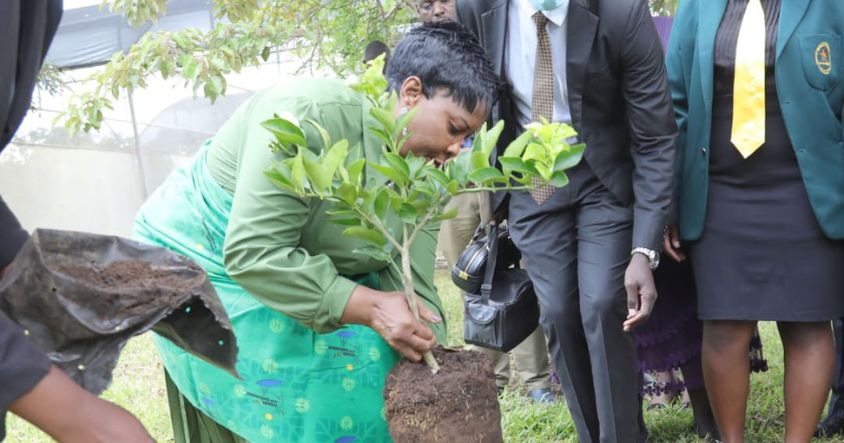 Environment Patron, First Lady Dr Auxillia Mnangagwa plants a tree during First Lady 2026 Careers Expo at SEAL Lifestyle Park  in Chishawasha Harare yesterday.