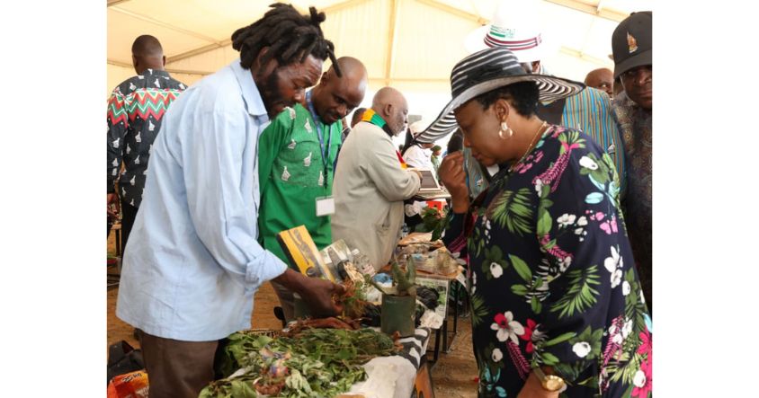 First Lady at the launch of the Traditional Medicinal Herbs Programme in Manicaland